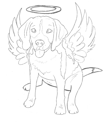 Álex, mi ángel de cuatro patas