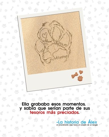 Flayers publicitarios "La historia de Alex"