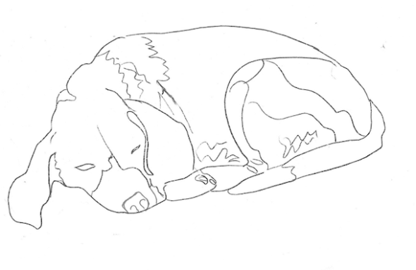 El tiempo todo lo roba